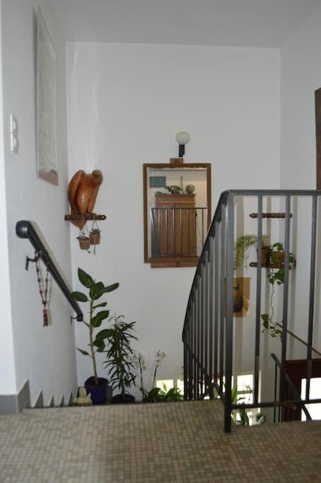A L'Ombre Du Palmier, Maison A 1,2 Km De L'Ocean Hendaya Exterior foto